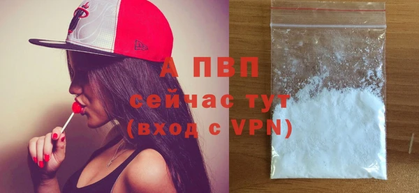 2c-b Горняк