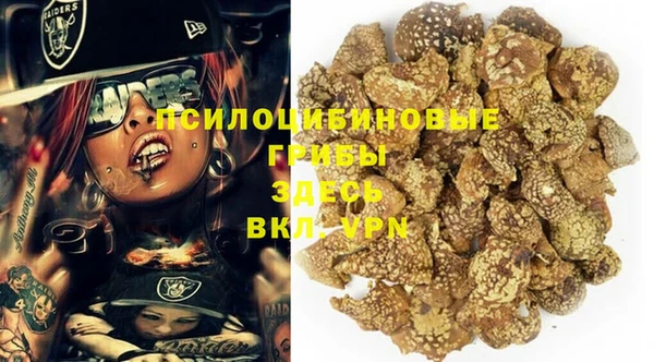 первитин Горнозаводск