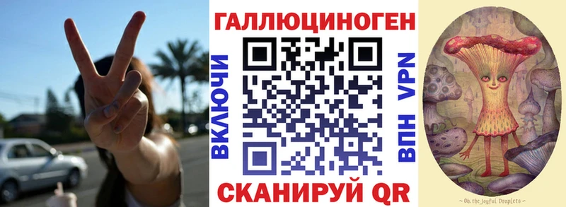 Псилоцибиновые грибы Psilocybe  Купить где  Хадыженск 